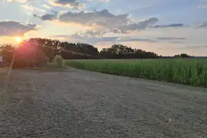 Camping-Seerosenteich - Blick auf die Felder in der Umgebung des Campingplatzes