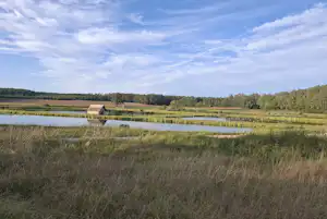 Camping-Seerosenteich - Blick in die Umgebung des Campingplatzes