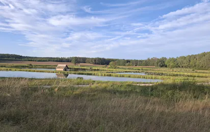 Fränkischer Aischgrund