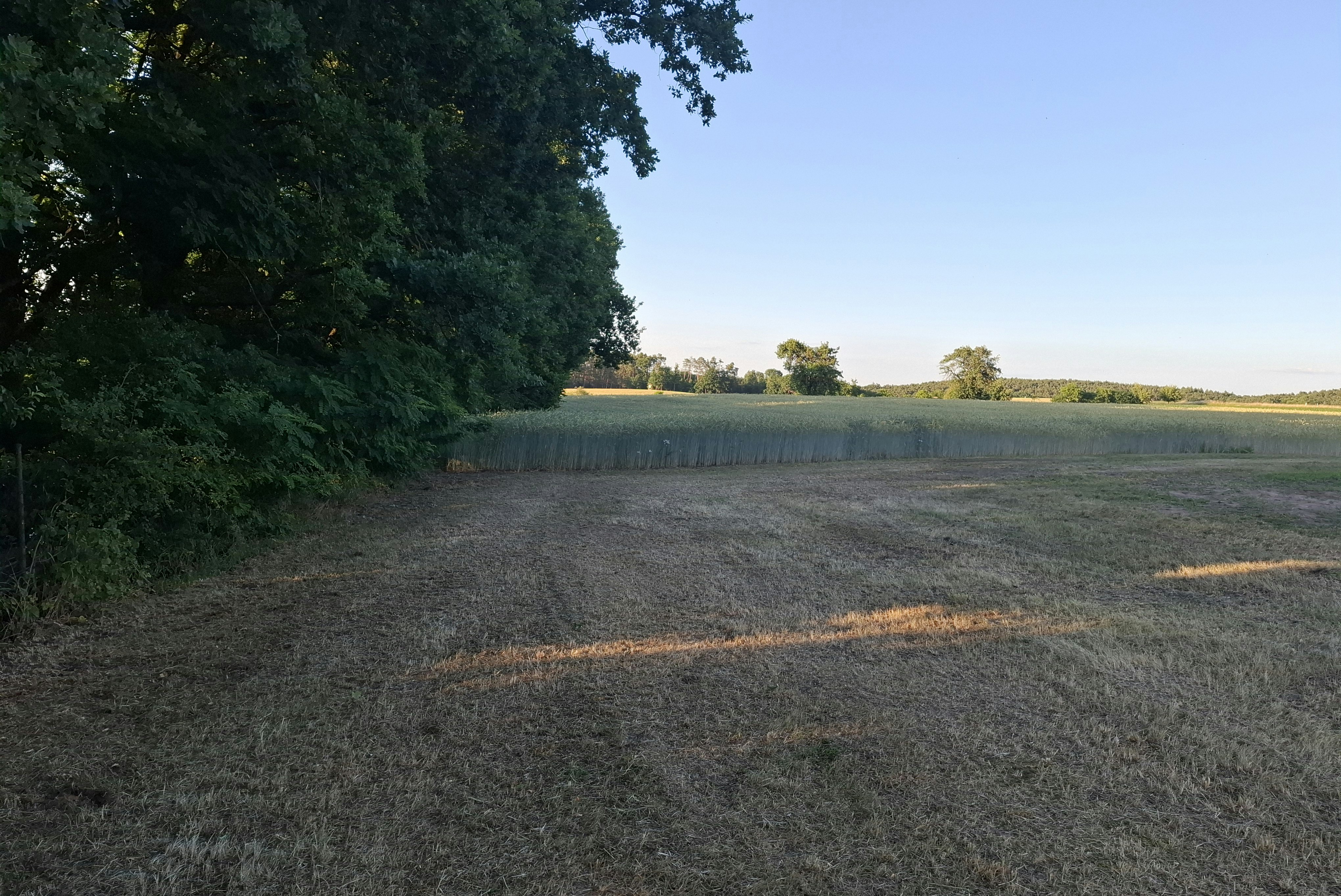 Camping-Seerosenteich - Felder in der Umgebung des Campingplatzes