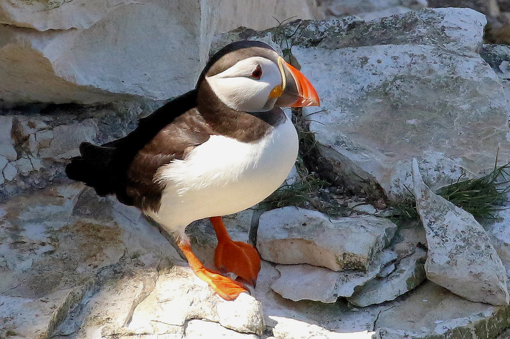 Wold Farm Caravan and Camping Site