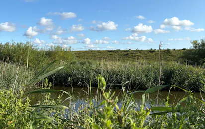 Womoland Nordstrand