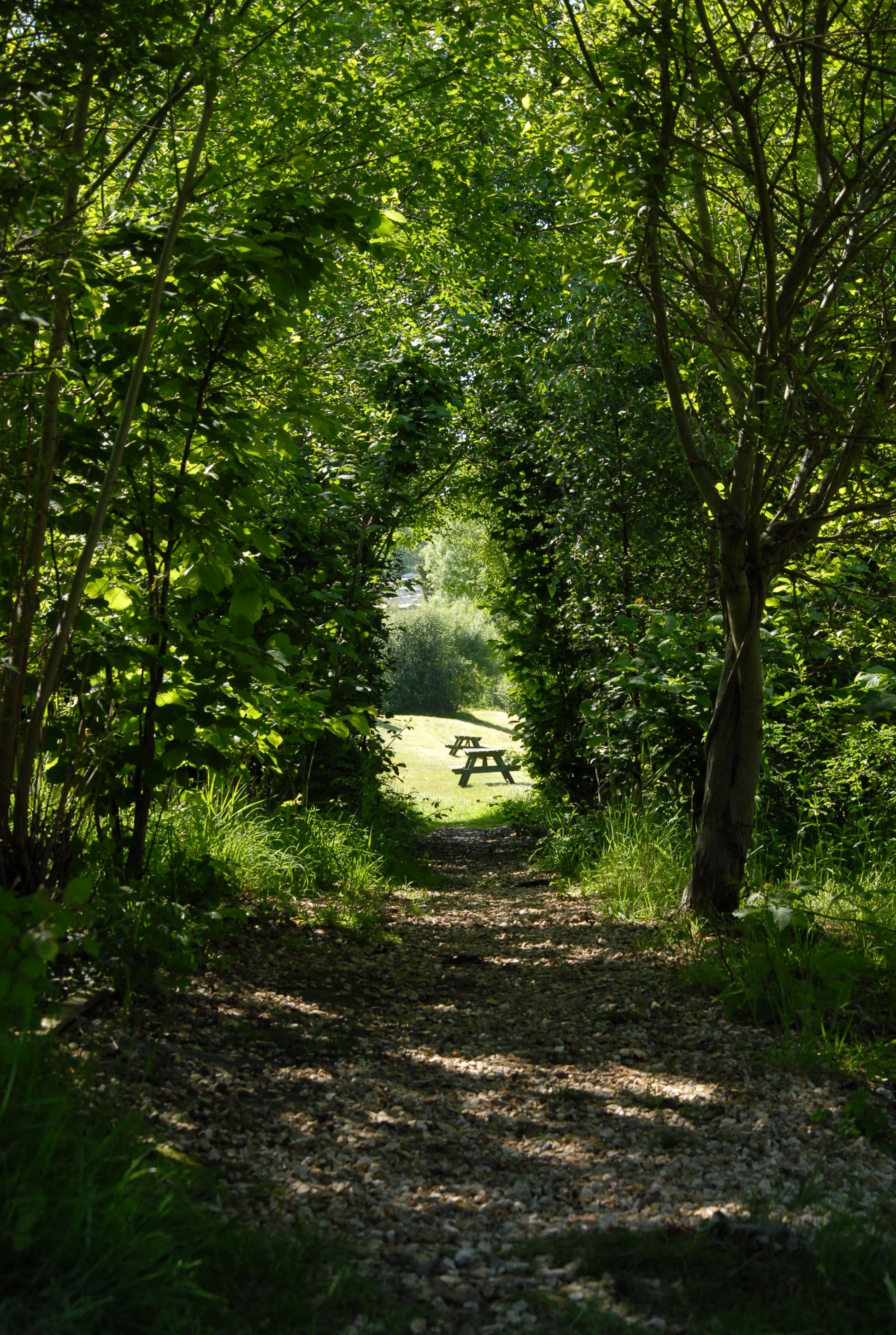 Wood Farm Caravan Park
