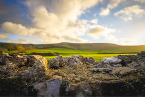 Woodfire at Chapel Field - Blick in die Umgebung des Campingplatzes