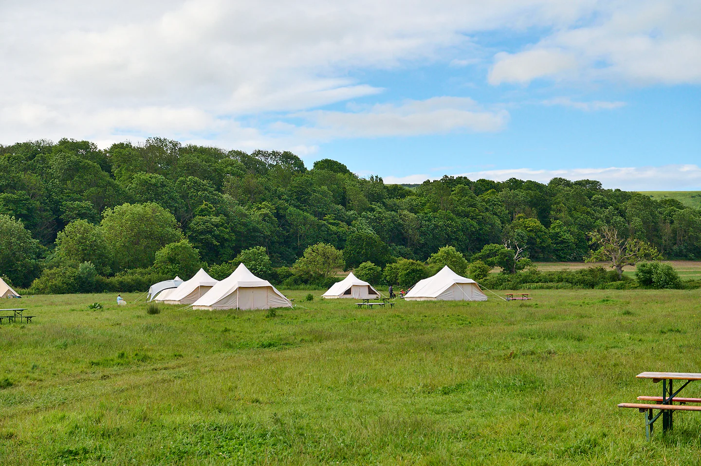 Woodfire at Chapel Field