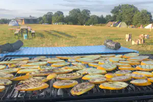 Offener Grill mit Kartoffelscheiben, im Hintergrund Zelte auf einer Wiese und ein Feuerstellenbereich mit Steinen.