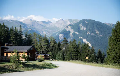 Camping Anzère Woodland