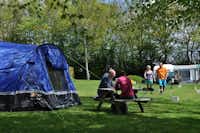 Woodovis Park -  Zelt- und Wohnwagenstellplätze im Grünen auf dem Campingplatz