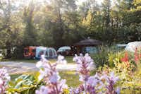 Wusterwitz Camping am See - Stellplätze zwischen den Bäumen
