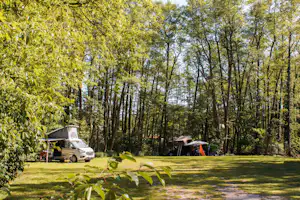 Wusterwitz Camping am See - Stellplatzwiese umgeben von Bäumen