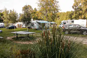 Wusterwitz Camping am See - Tischtennisplatte auf dem Campingplatz zwischen den Stellplätzen