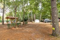 Camping Au Lac de Biscarrosse - Ciela Village - Standplatz für Wohnwagen, Wohnmobil oder Zelt