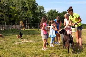 Yelloh! Village Château de la Forêt - Kinder im Streichelzoo vom Campingplatz mit Hühnern und Ziegen
