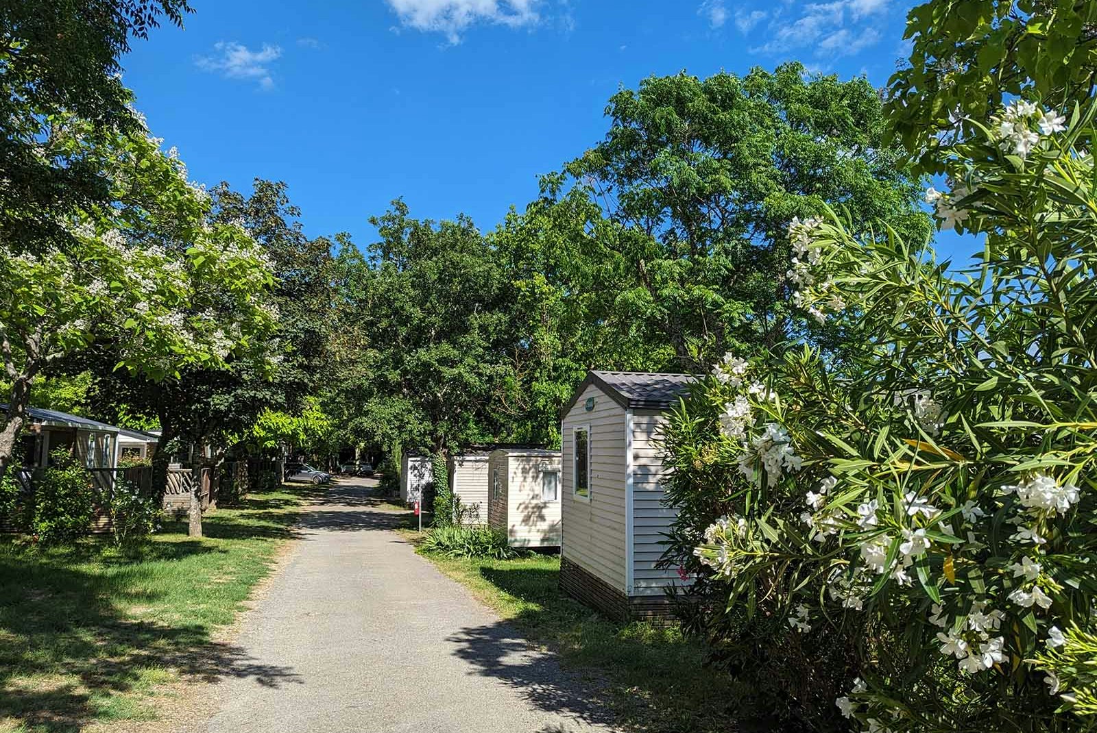 Yelloh! Village Domaine de l'Esquiras  Yelloh Village! Domaine de L'Esquiras  - Mobilheime auf dem Campingplatz