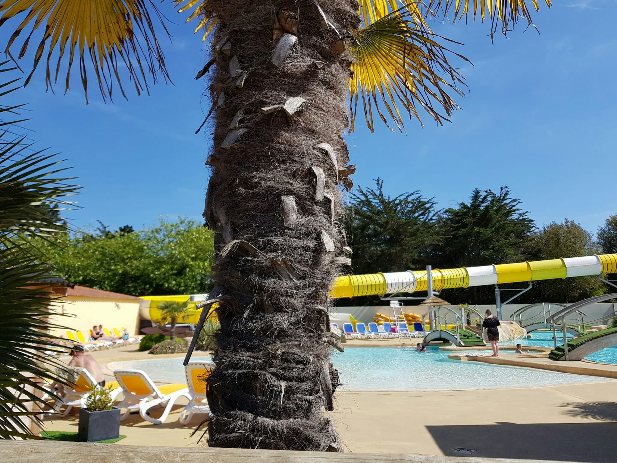 Yelloh! Village Domaine de l'Orée - Rutschen im Freibad des Campingplatzes