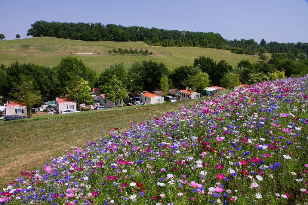 Yelloh! Village Le Lac des Trois Vallées