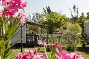 Blühende pinke Blumen im Vordergrund vor einem Campinggarten mit Holzpergola, Bäumen und einem Wohnwagen am Rand.