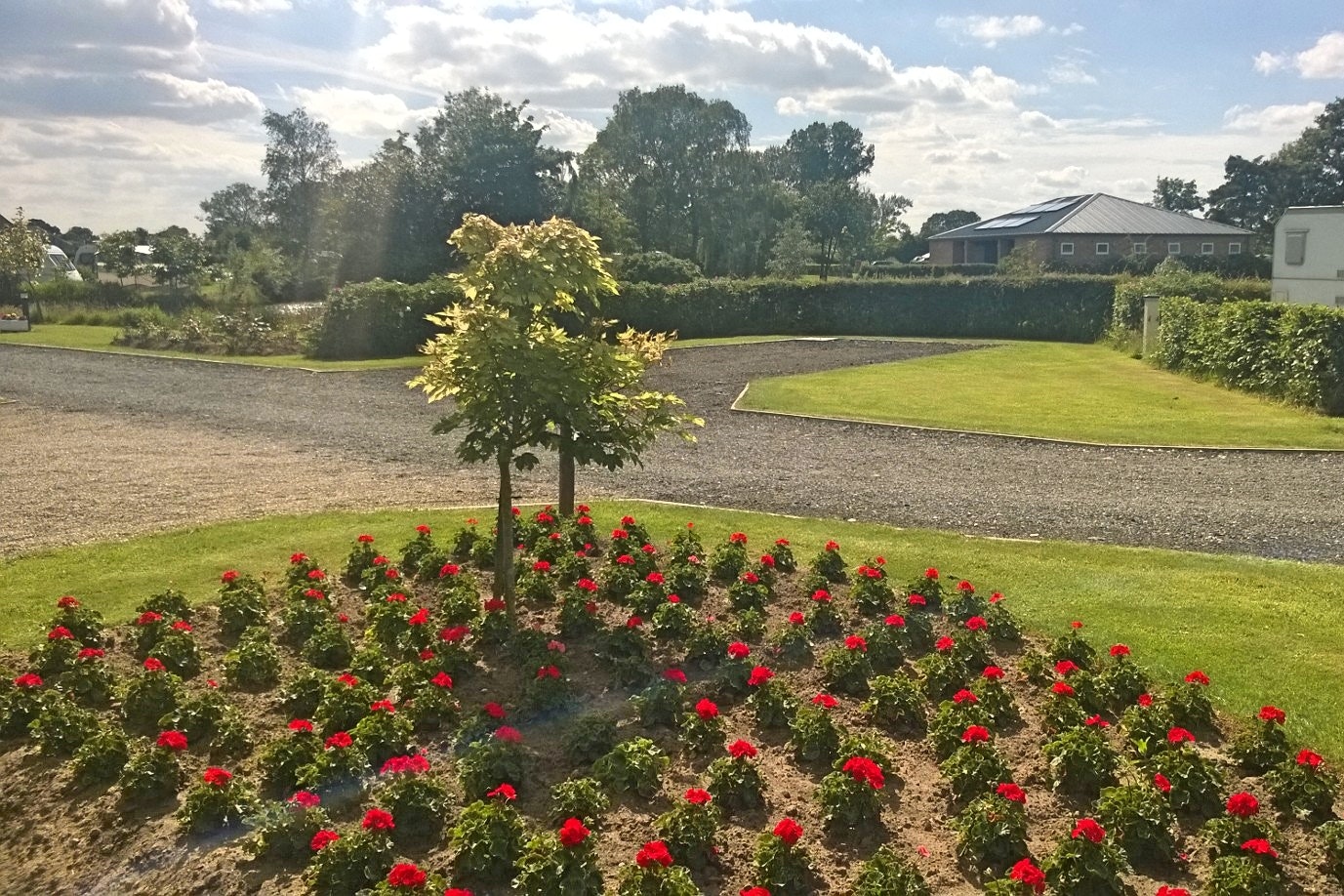 York Caravan Park - Stellplatz mit Blumenbeet im Vordergrund