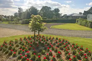 Blumenbeet mit roten Blüten, Rasen und Kieswegen auf dem Campingplatz, im Hintergrund Gebäude und Bäume.