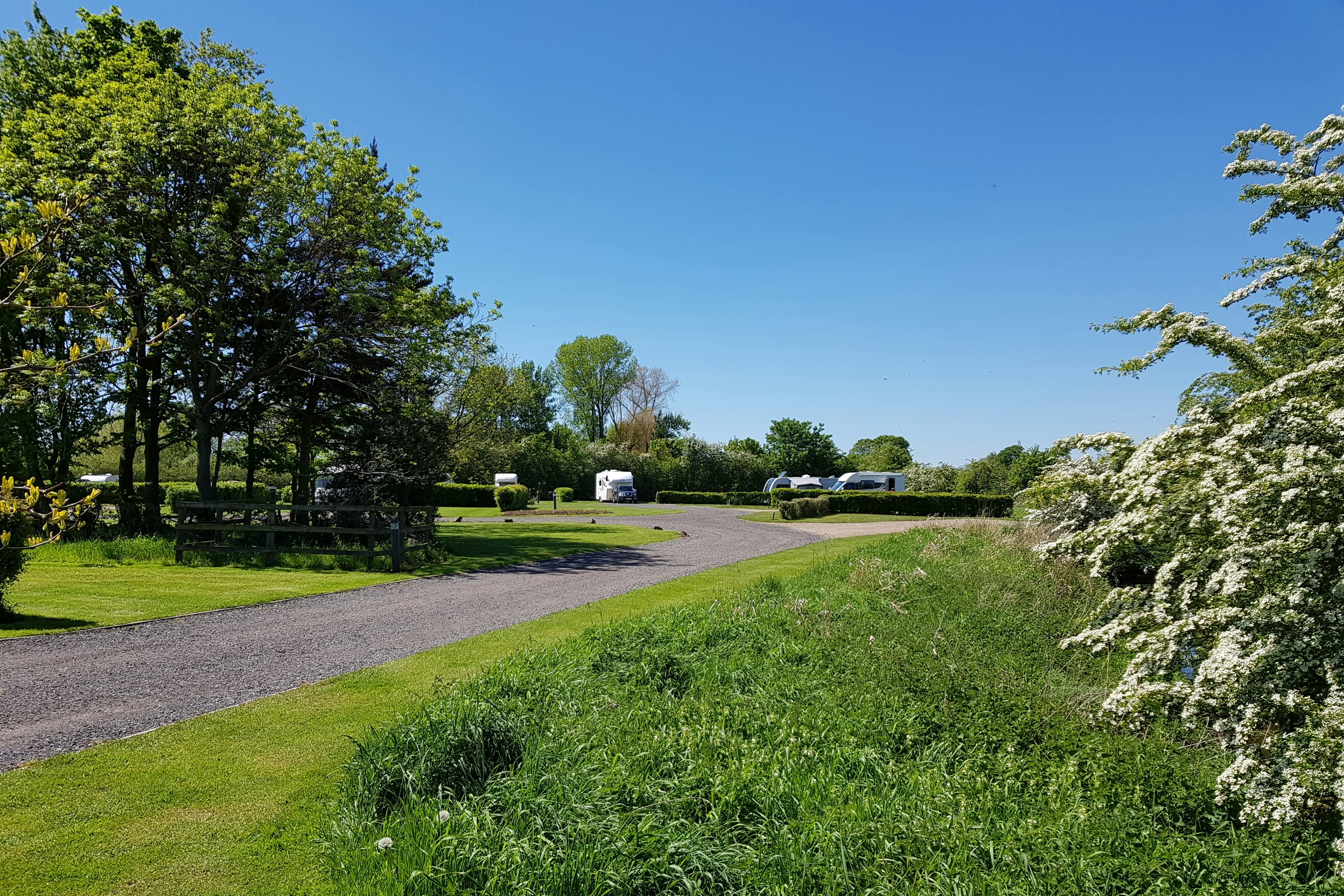 York Caravan Park - Strasse auf dem Campingplatz mit Begrünung an den Seiten und Wohnwagen im Hintergrund