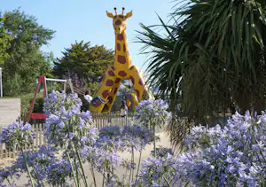 Eine große Giraffenfigur hinter einem Zaun, umgeben von lila Blüten und Palmen, im Campingbereich.