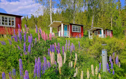 Yxningens Camping & Café