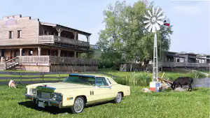 Gelber Oldtimer auf einer grünen Wiese im Campinggarten, daneben Windrad, Gebäude und zwei Hunde.