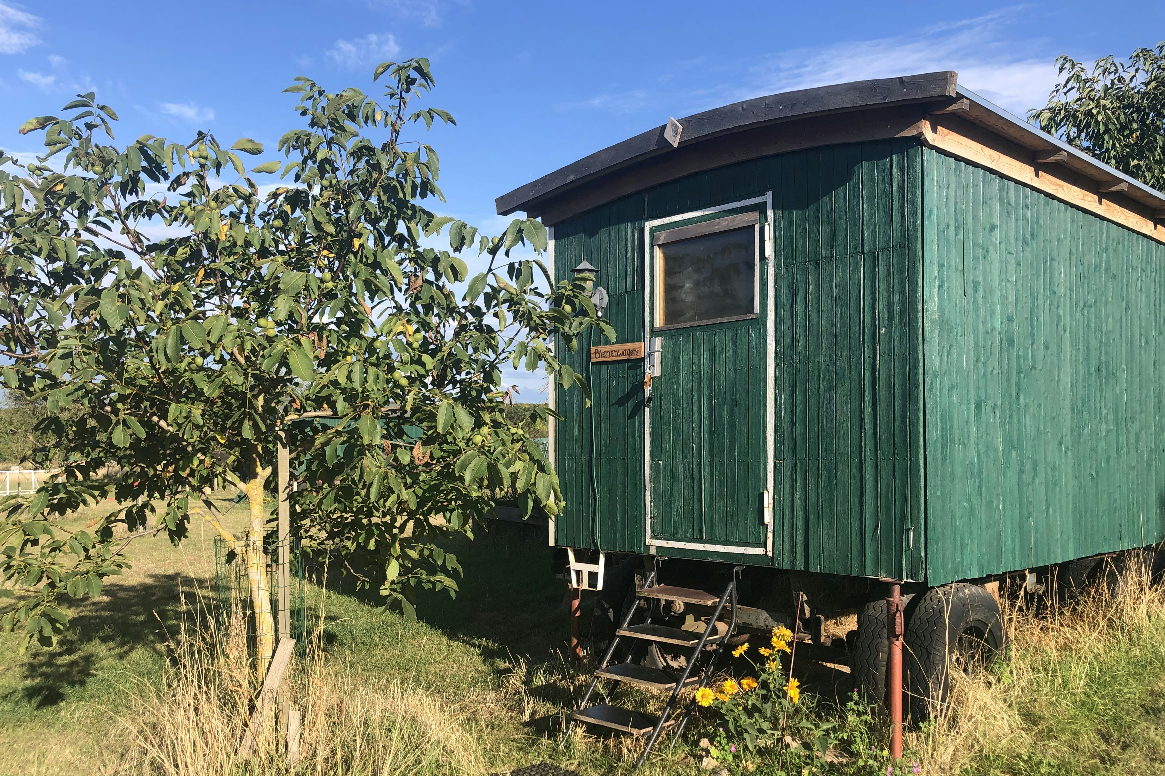 Zeltwiese Löbejün - Mobilheim auf dem Campingplatz