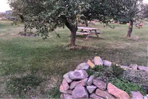 Zeltwiese Löbejün - Picknickbank auf der Zeltwiese des Campingplatzes