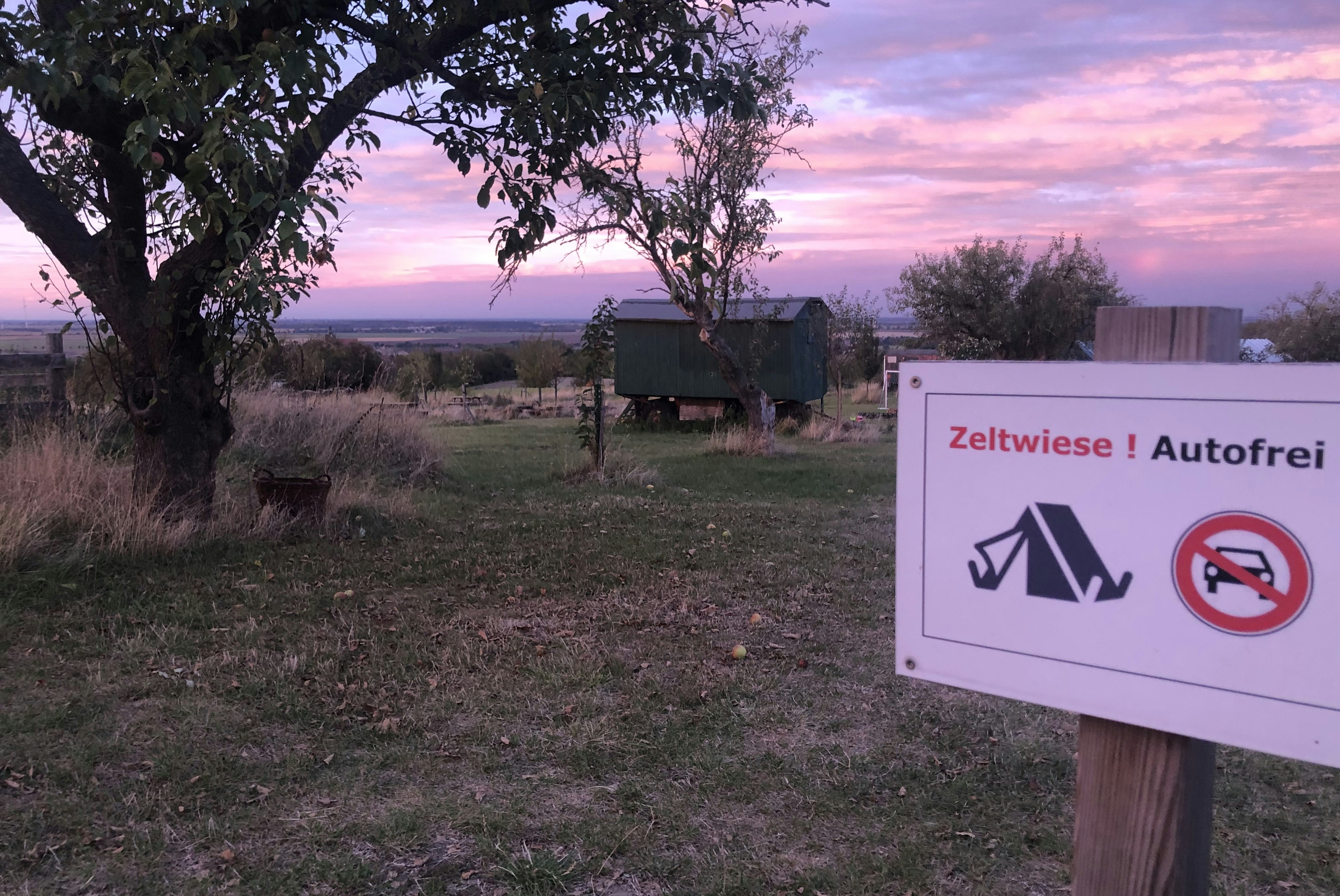 Zeltwiese Löbejün - Zeltwiese auf dem Campingplatz bei Sonnenuntergang