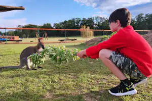 Ein Junge in rotem Shirt kniet im Gras und hält eine Pflanze, daneben ein Hund auf dem Campingplatzgelände.