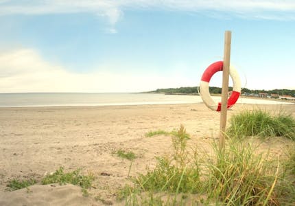 camping mit hund an der ostsee die top platze pincamp by adac