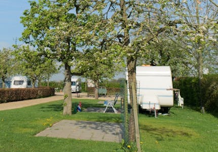 camping mit hund in renesse pincamp by adac