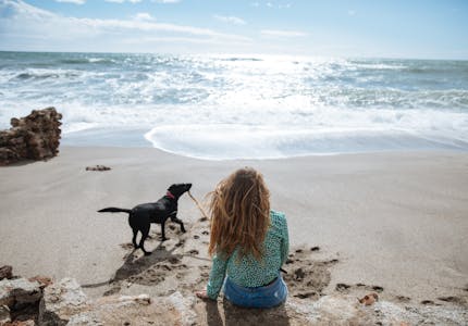 camping mit hund an der ostsee die top platze pincamp by adac