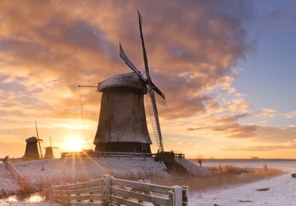 camping mit hund in renesse pincamp by adac