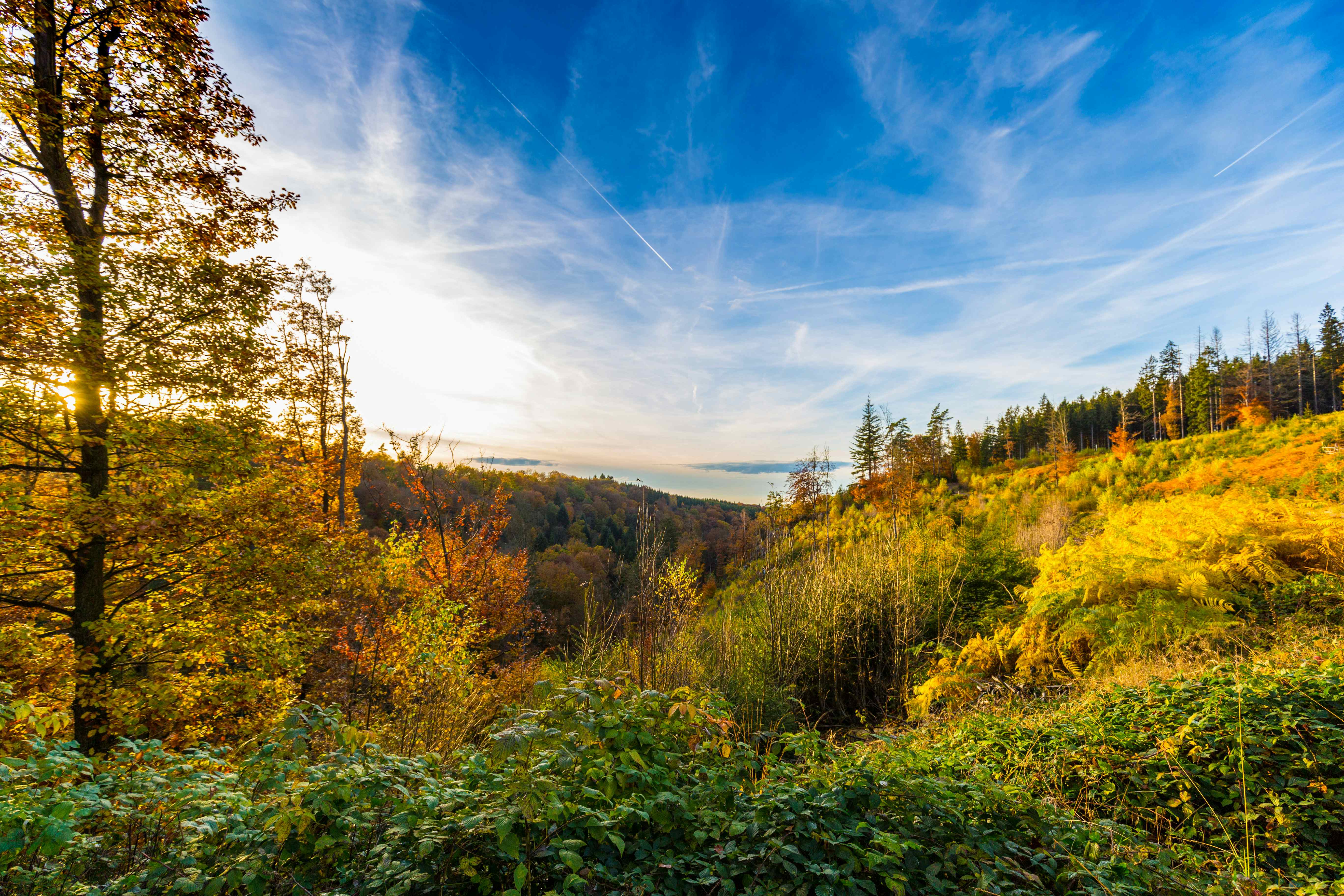 Camping in den Ardennen