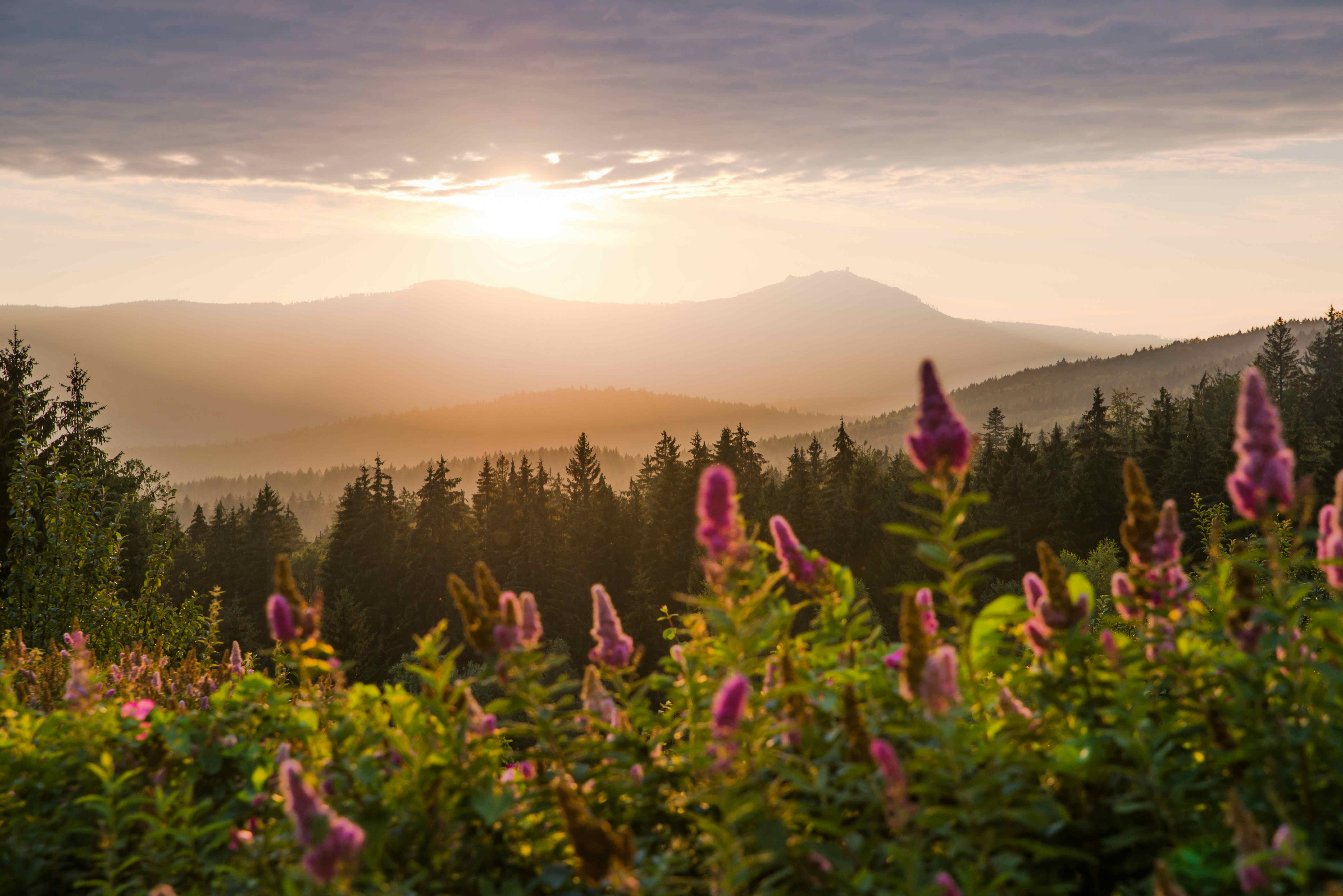 Camping im Bayerischen Wald