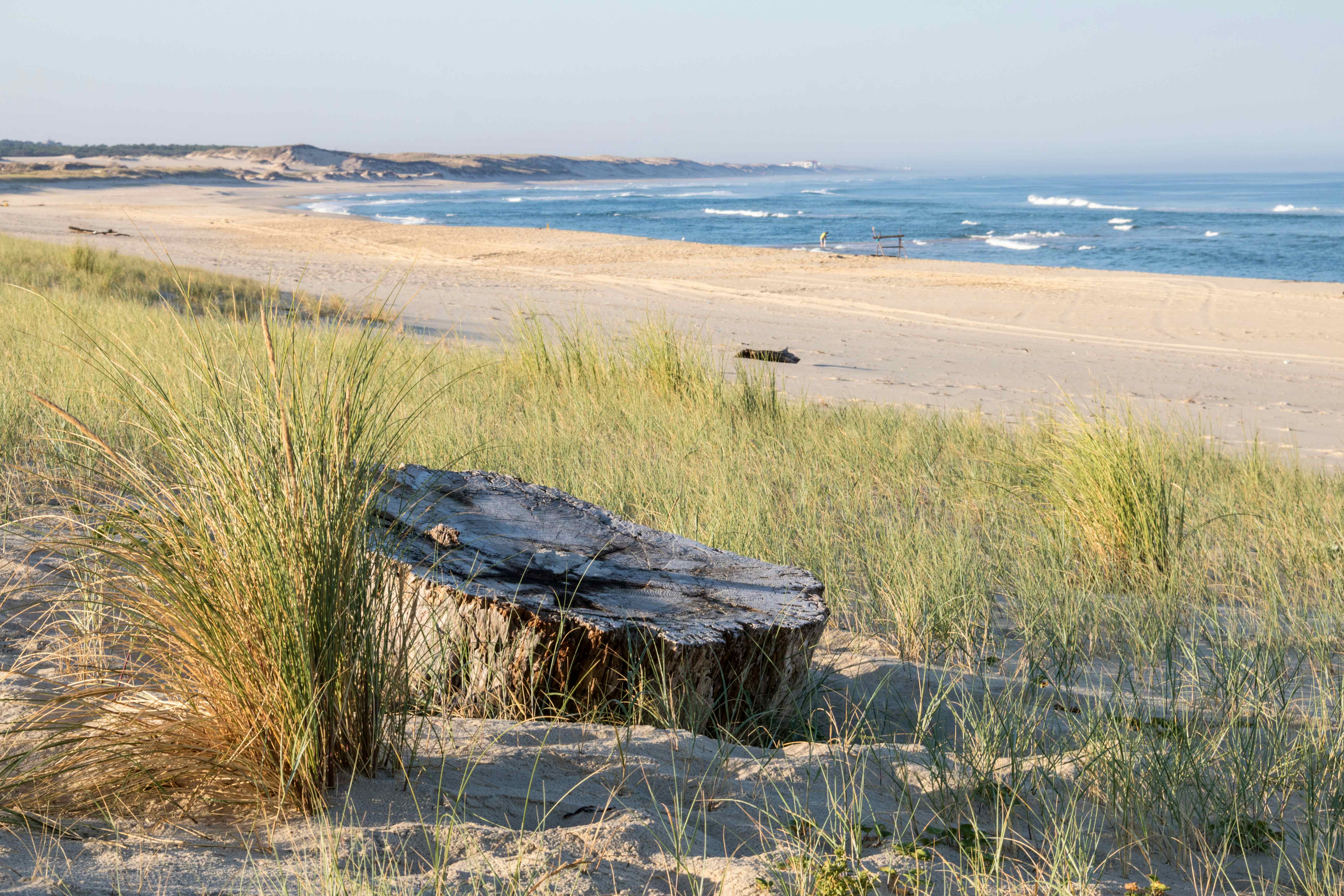 Camping in Biscarrosse