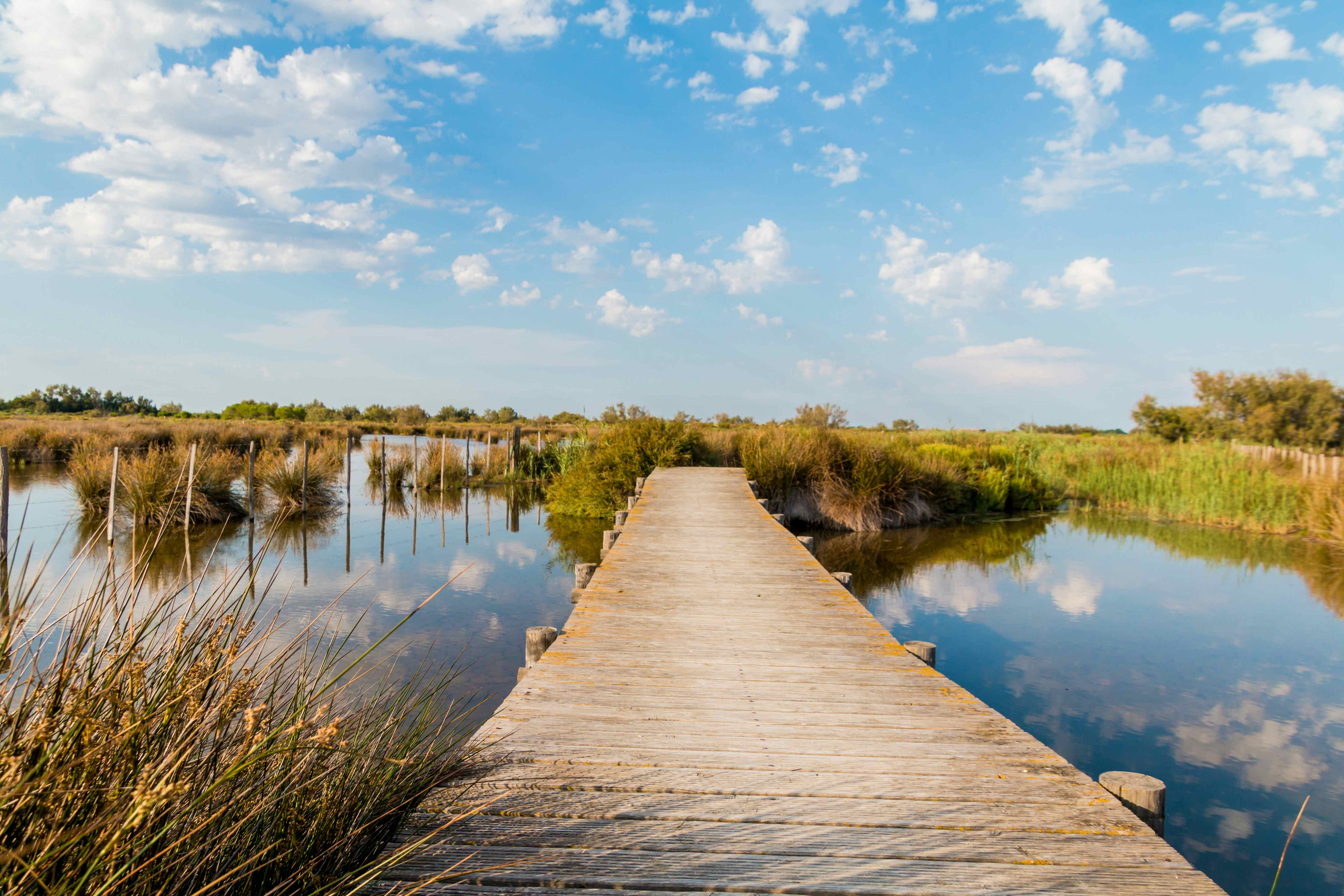 Camping in Camargue