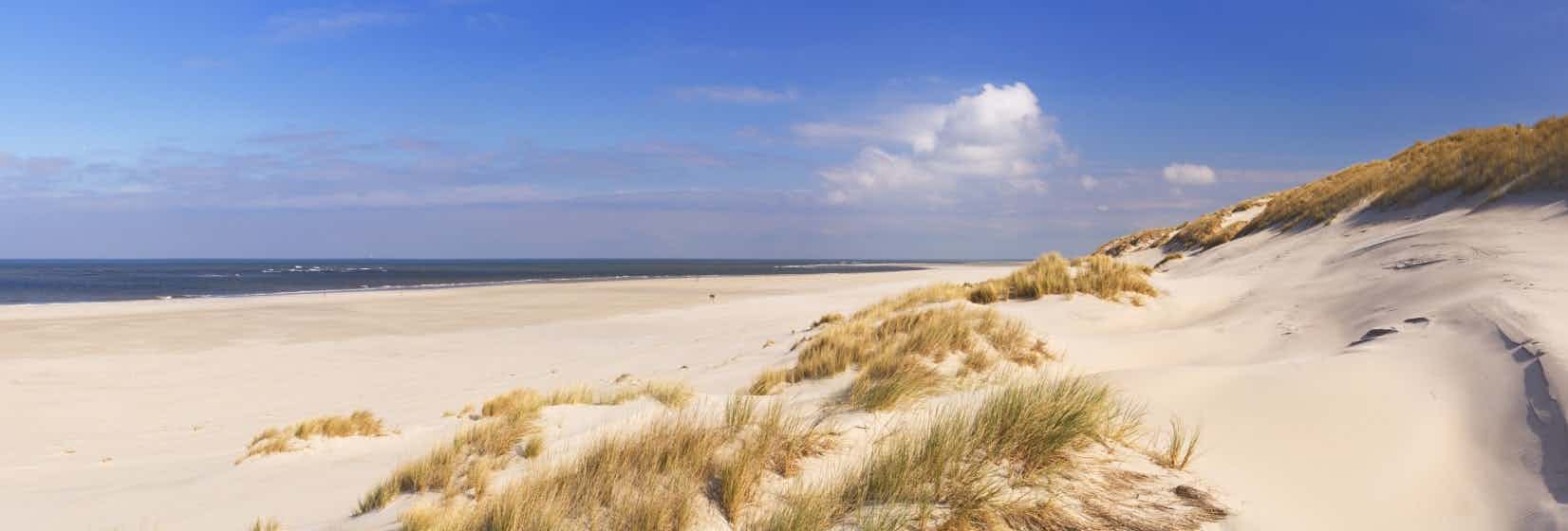 Camping am Meer in Holland