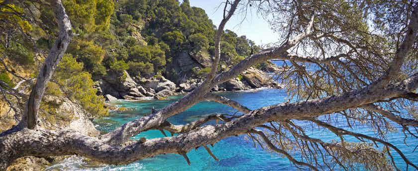 Camping am Meer