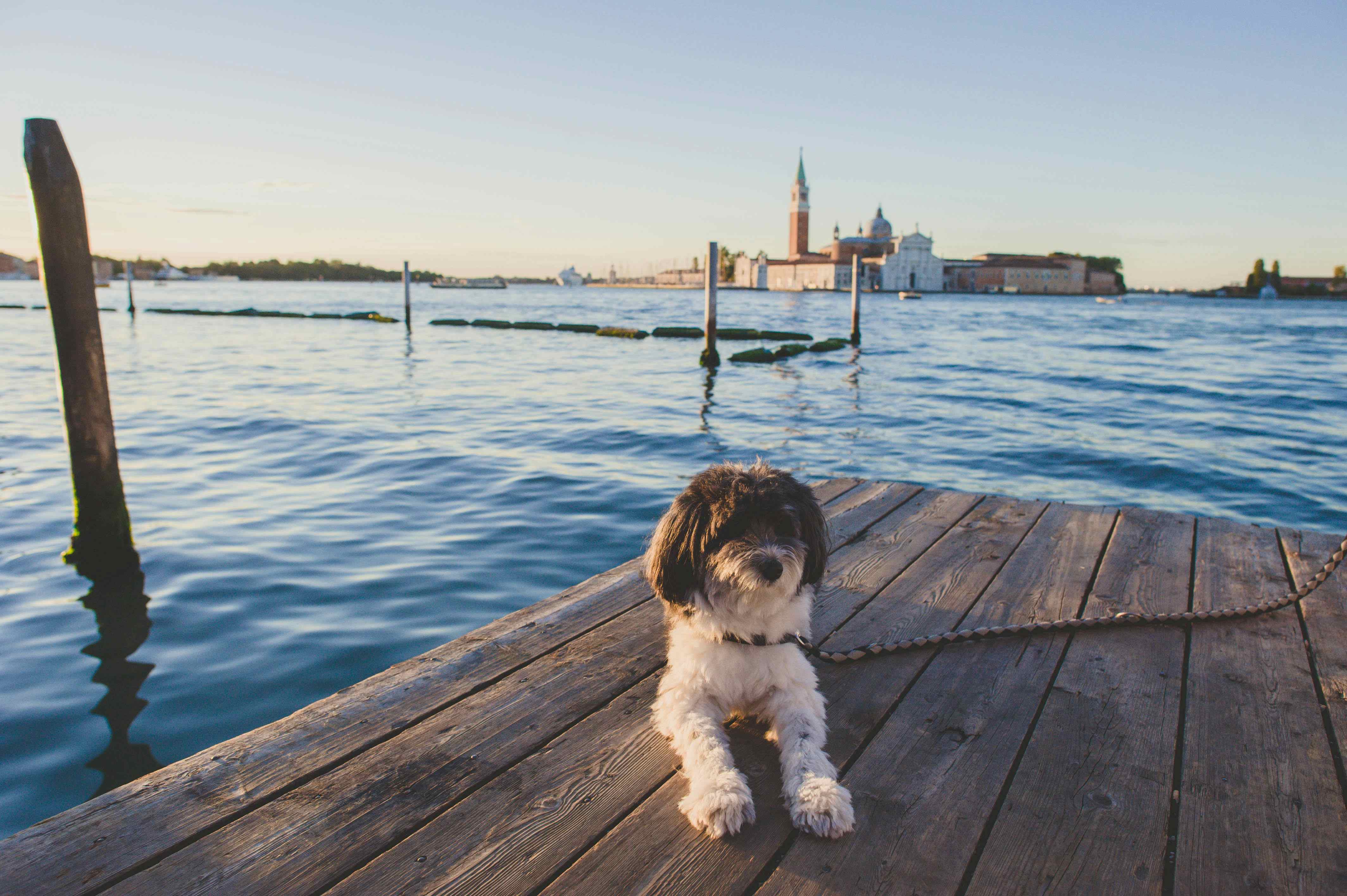Camping in Italien mit Hund