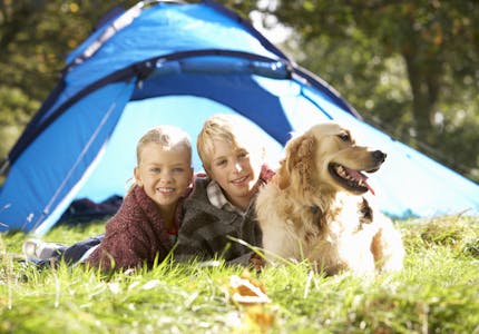 Camping mit Hund in Nordrhein-Westfalen