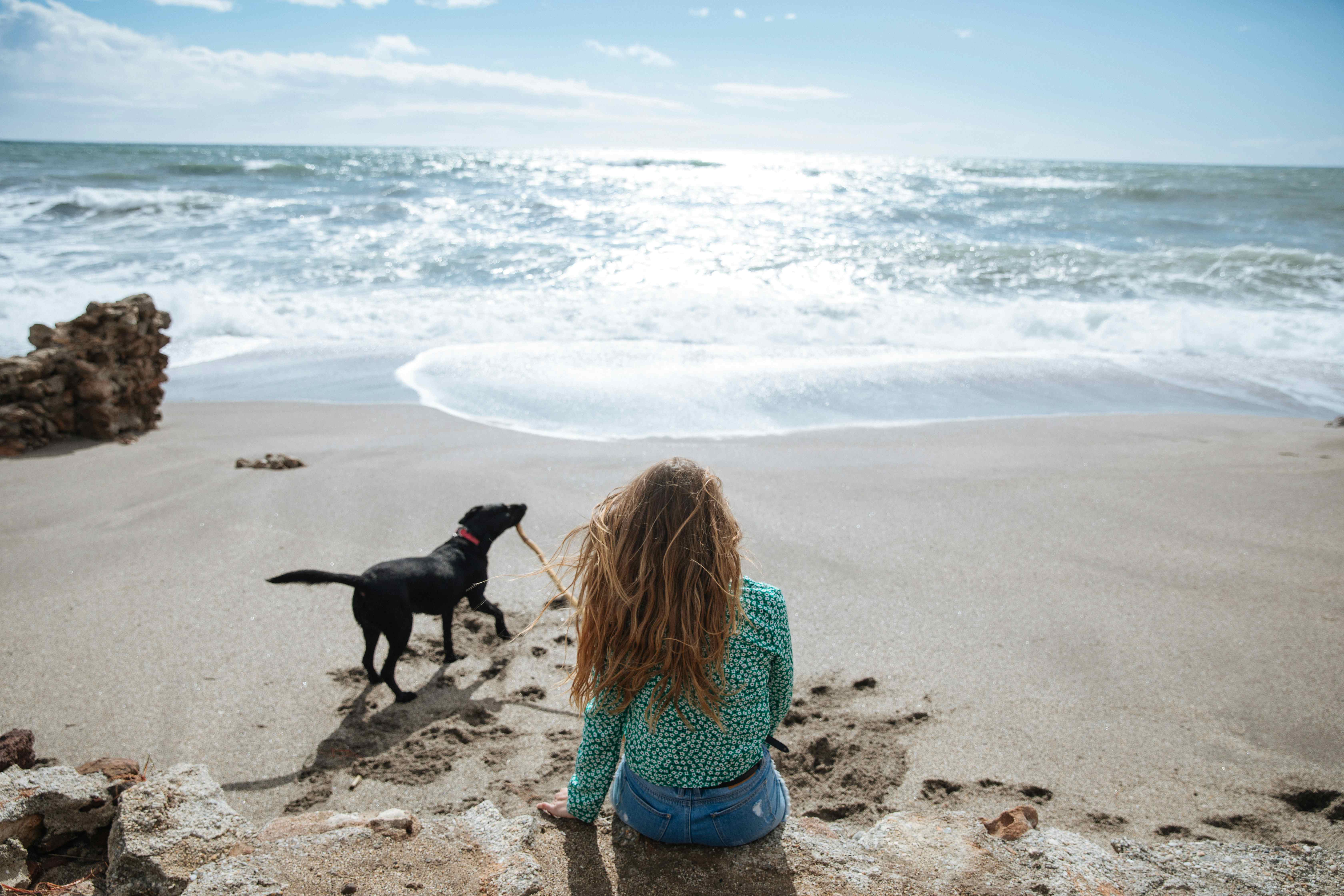 Camping avec un chien dans le Schleswig-Holstein