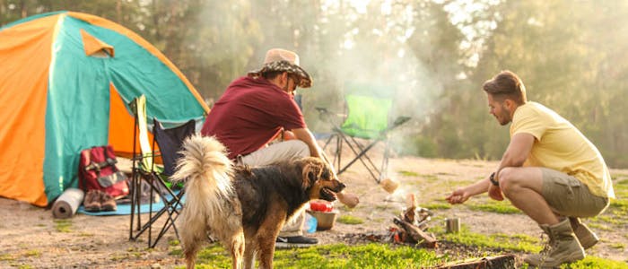Camping mit Hund in Europa