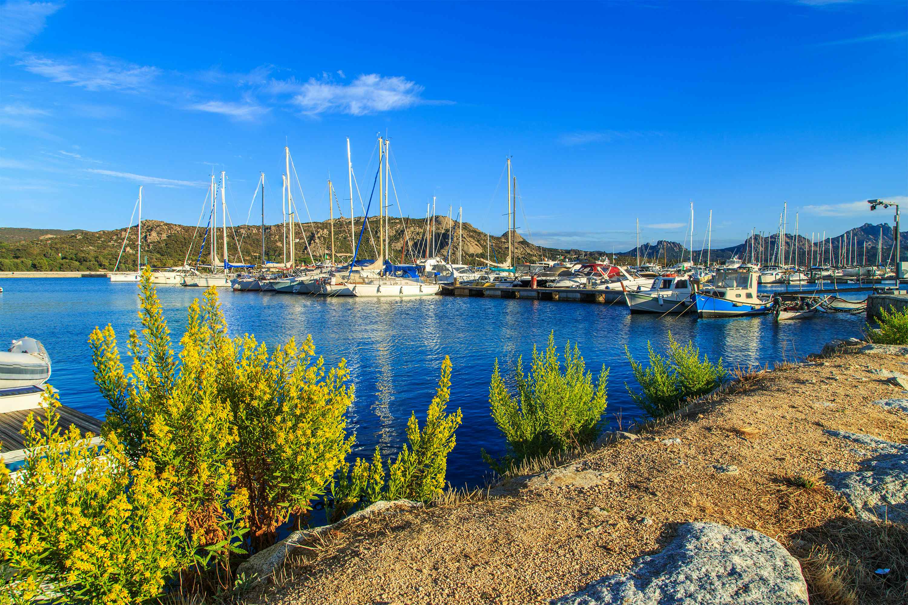 Camping in Cervo