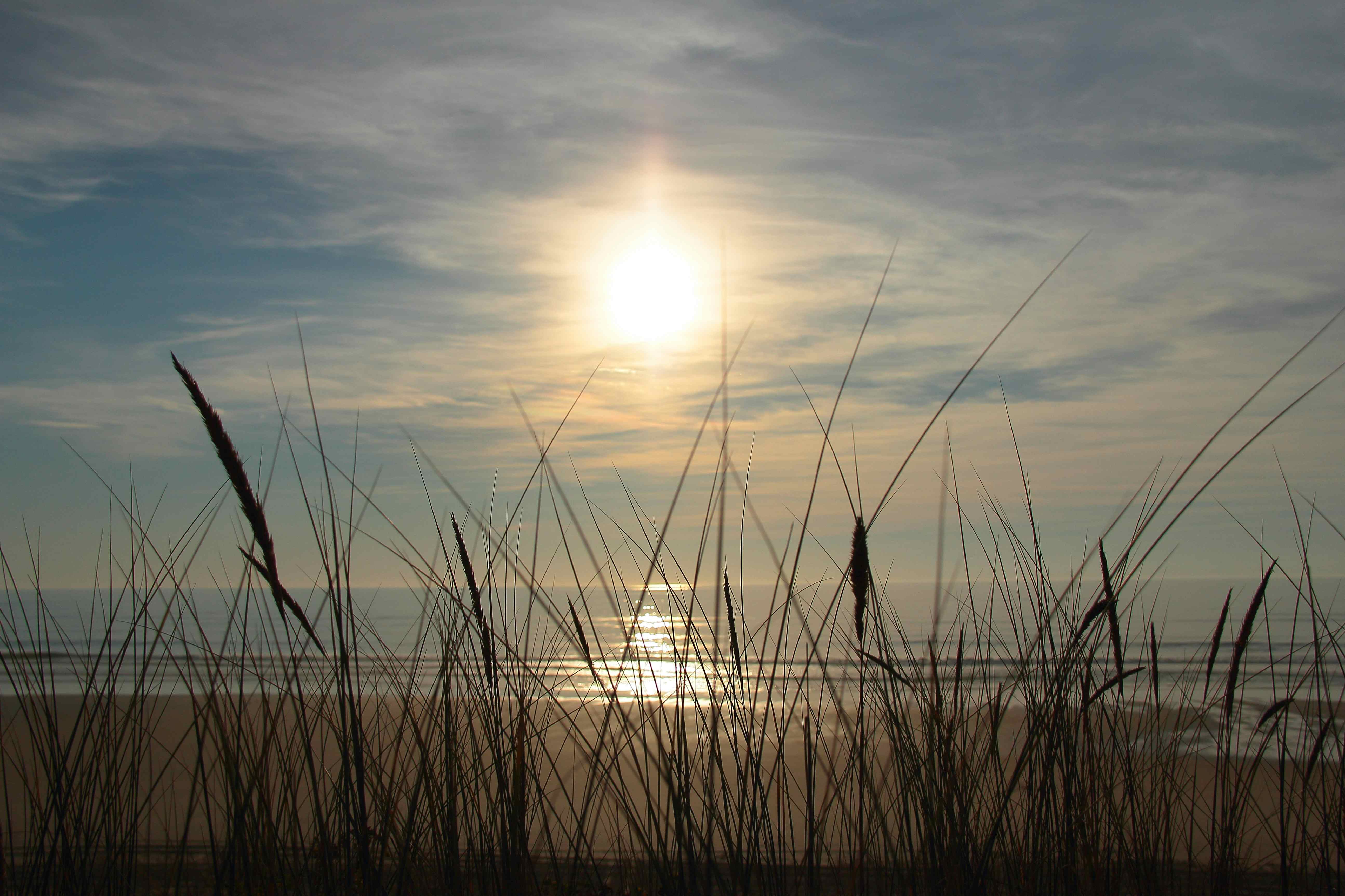 Camping in Charente-Maritime