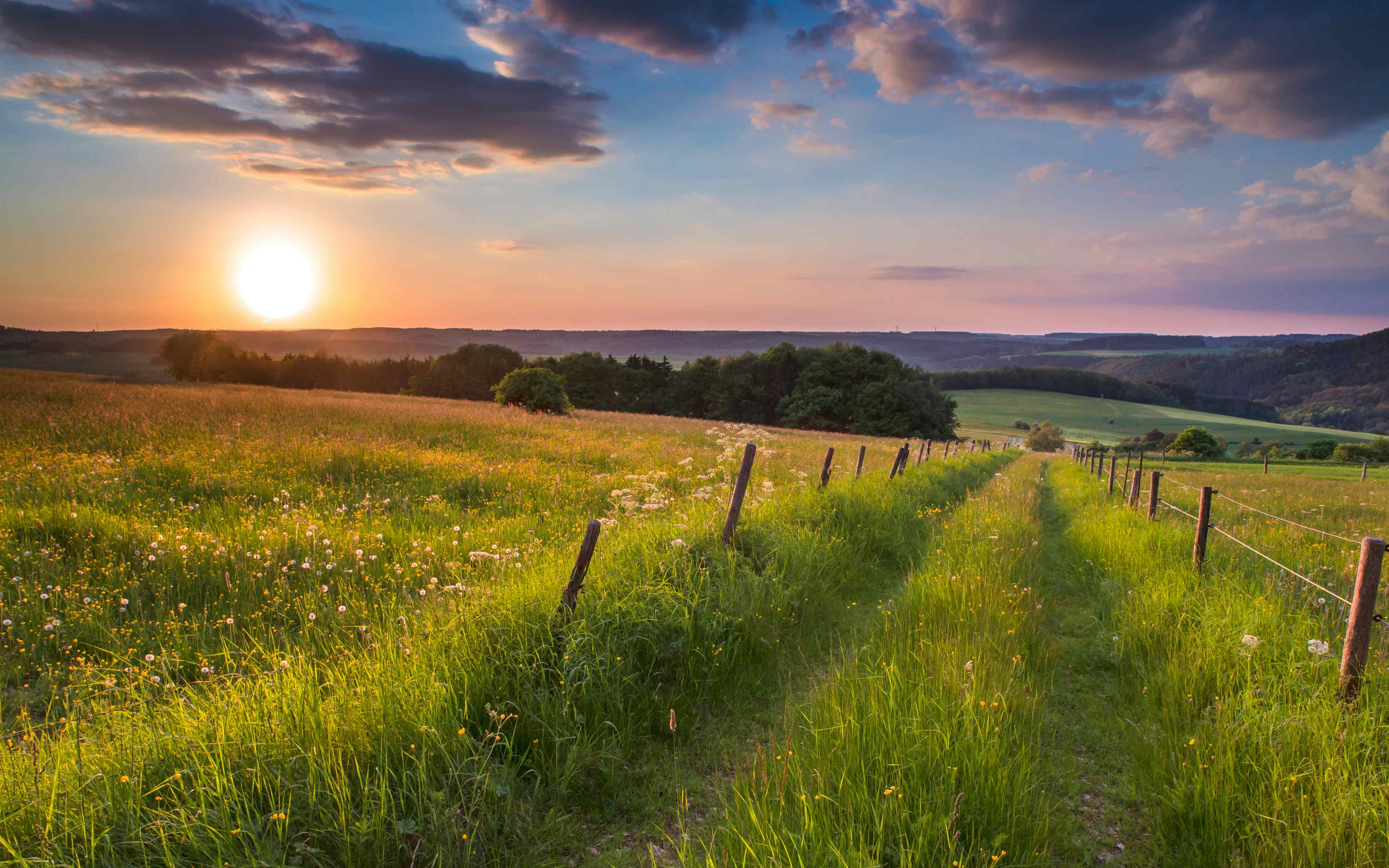 Camping in der Eifel