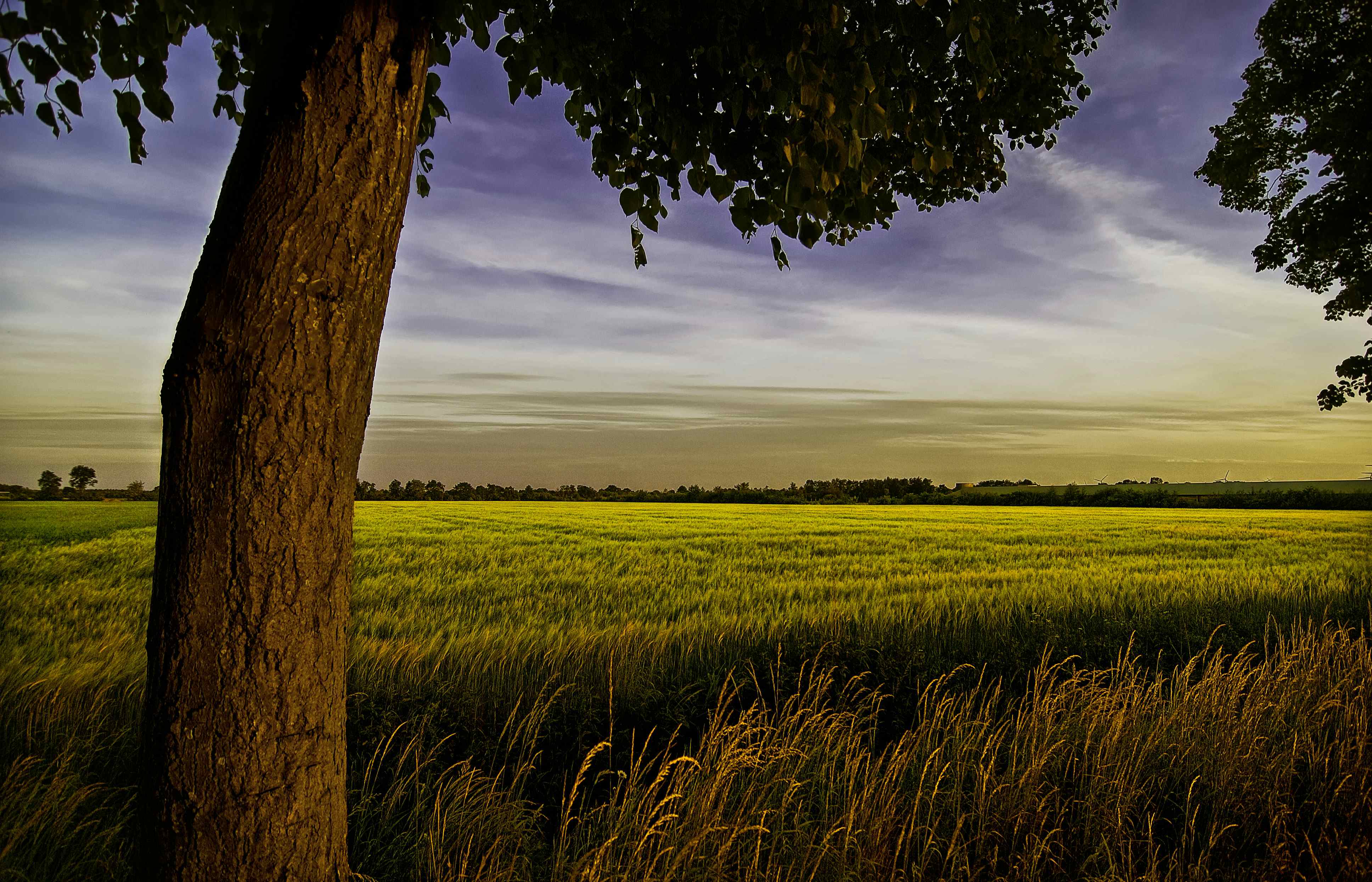 Camping en Emsland