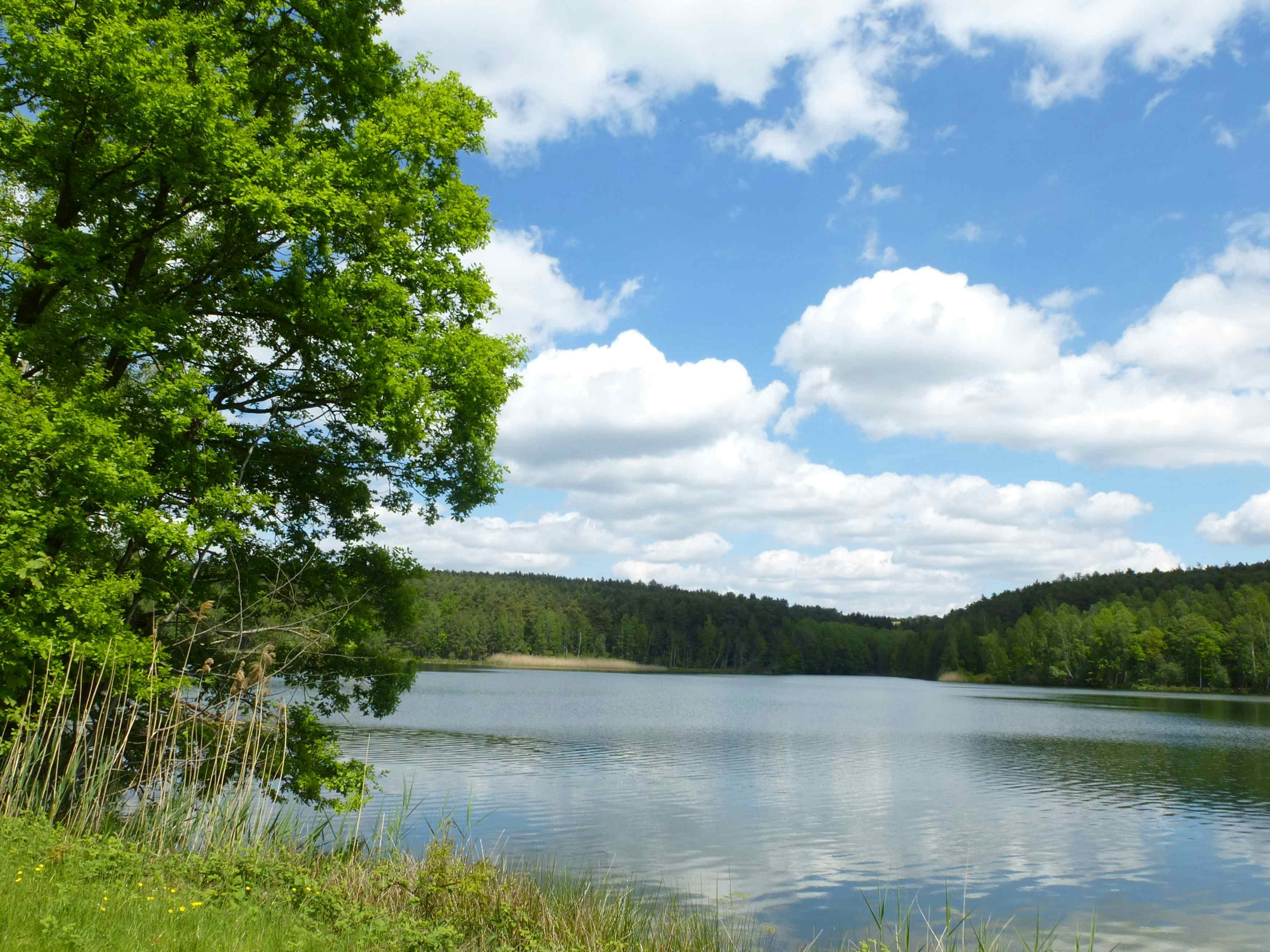 Camping im Fränkischen Seenland